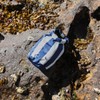 Dock & Bay Small Waterproof Dry Bag - 5L, IP66