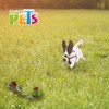 Fancy Pets Juguete de Hilo para Perro en Forma de