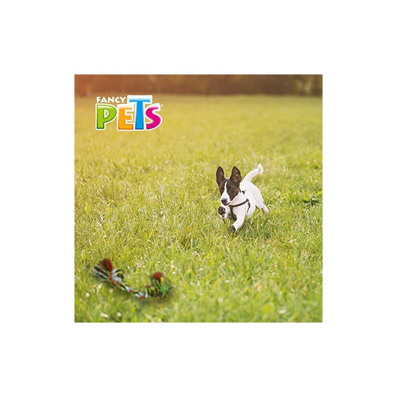 Fancy Pets Juguete de Hilo para Perro en Forma de