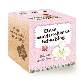 Feel Green Celebrations Ecocube, Orchid Tree, Wooden Cube with Laser Engraving «A Super Sweet Birthday», Sustainable Gift Idea, Propagation Set, Made in Austria