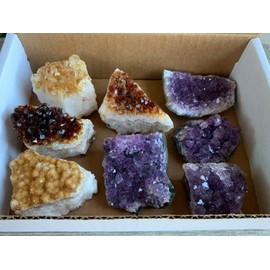 4 Amethyst & 4 Citrine Clusters Druzy Collection Box – 2-3 Inch Grade A+ Natural Geode Set