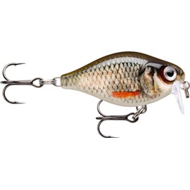 Rapala - X - Light Crank Flat Runner Fishing Bait Plastic Construction - Floating Freshwater Bait - Swimming Depth 0.9 m - Size 3.5 cm / 4g - Made in Estonia - Live Roach