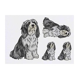 4 x 'Bearded Collie' Temporary Tattoos - Water Resistant, Skin-Safe, Non-Toxic Transfers, Mixed Sizes (TO00044845)