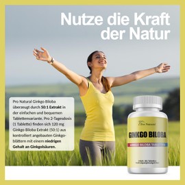 Ginkgo Biloba 6000 mg - 365 Tabletten – Premium Extrakt: Mit Flavonglykoside + Ginkgolid-Terpenlactone & frei Ginkgolsäure Hochdosiert Vegan