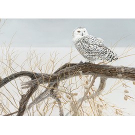 Cobble Hill 500 Piece Puzzle - Fallen Willow - Snowy Owl - Sample Poster Included