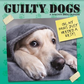 2024 Guilty Dog Mini Wall Calendar