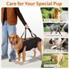 Mayerzon Full Body Dog Lift Harness, Support Senior & Disabled