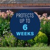 BioAdvanced Shrub Care Protect & Feed, Granules, 10 LB
