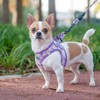 BEAUTYZOO Dog Harness & Leash Set, Slip-Resistant, Body Harness, Pull-Resistant,