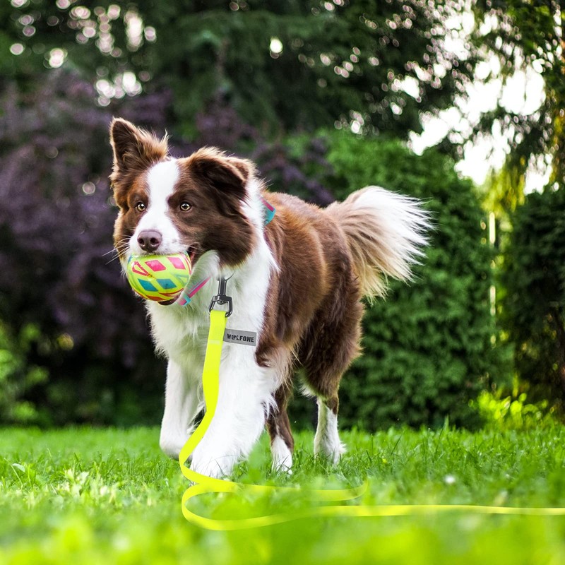 Wolfone Yellow 9m Long Line Lead Waterproof Recall Training Dog