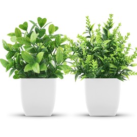 Der Rose 2 Pack Fake Plants Small Faux Artificial Small Potted Plants Indoor for Room Home Office Farmhouse Bathroom Decor