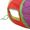 Pet Tunnel Iridescent Foldable Cat STunnel with Interactive Ball and