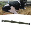HL Q6PX Cow Anti Splitting Belt Nylon Sheep Anti Splitting