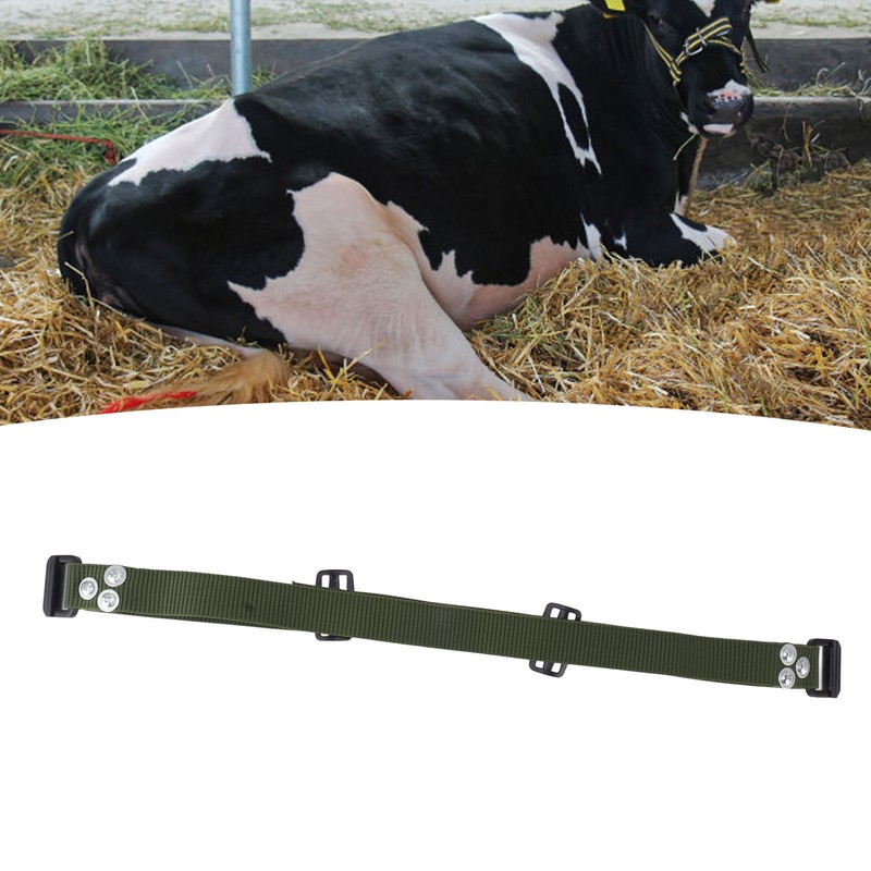 HL Q6PX Cow Anti Splitting Belt Nylon Sheep Anti Splitting