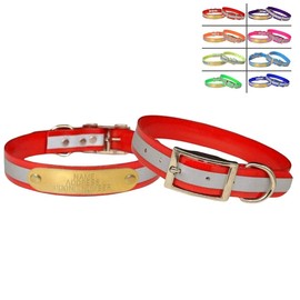 Warner Brand Reflective Dayglo Dog Collar Free Engraved Brass ID tag (RED 25")