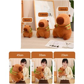 JPORSHU Capybara Plush Toy， 12inch Capybara Plush with Happy Birthday， Kawaii Capybara Stuffed Animal and Home Decor Gifts