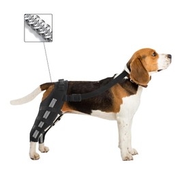 Middle Double Dog Leg Braces For Back Leg For Support,Double Dog Knee Brace For Torn Acl Hind Leg,Dog Acl Brace Hind Leg,Dog Brace For Acl Tear Back Leg,Knee Brace For Dogs Back Leg,Dog Acl Knee Brace