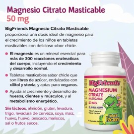 Citrato De Magnesio Niños 50mg Bigfriends Natural Factors                                                                                             