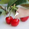 2 Pcs Stainless Steel Strawberry Huller Fruit Stem Remover Home
