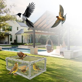 Sparrow Trap Cage – Bird Traps for Small Birds Wild, House Sparrow Bird Traps, One Way Birds Cage Trap, Bird Catcher Trap for Cardinals, Quail, Starlings with S Size