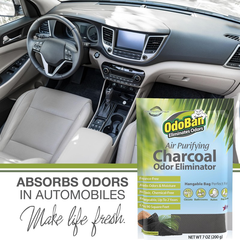 OdoBan Air Purifying Charcoal Natural Odor Eliminator, Non-Toxic Formula, Made