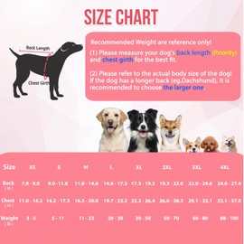 SlowTon Recovery Suit for Dogs - Dog Surgery Suit Female Spay Male Neuter, Dog Surgery Recovery Suit with Zipper, Pet Surgical Onesies Bodysuit Abdominal Wound Bandages (Pink Leopard, S)