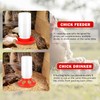 9pcs Chick Feeder and Waterer Kit, Baby Chick Starter Kit