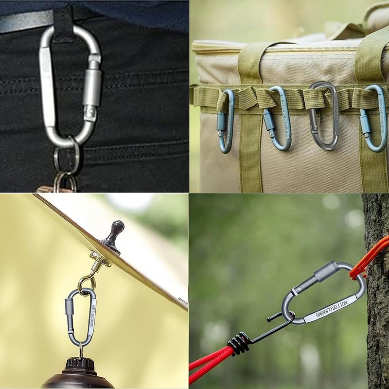 WADY Clips de Mosquetón, 10 Piezas Mosquetón Resistente con Bloqueo
