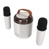 Wireless Karaoke Speakers RGB Light Bluetooth5.3 Speaker with 2 Wireless