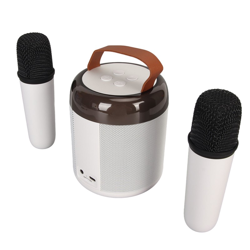 Wireless Karaoke Speakers RGB Light Bluetooth5.3 Speaker with 2 Wireless