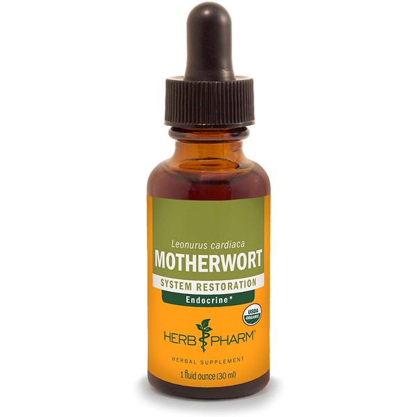 Herb Pharm Certified Organic Motherwort Liquid Extract for Endocrine System Support - 1 Ounce