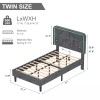 Vecelo LED Light Queen Full Twin Bed Frame with USB