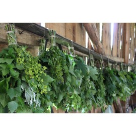 SaunaGoods Herbal Sauna Whisk Venik Broom Organic Massage Banya Wenik Natural Bath House