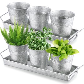 Wenqik 2 Sets Herb Garden Planter Pot Set with Tray Metal Windowsill Plant Pot with Drainage Farmhouse Decorative Live Herb Garden Kit for Home Kitchen Indoor Outdoor Apartment Balcony Window(Silver)