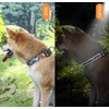 Cosyhomelondon adjustableCollar with Patternsa and reflective lines, Soft Comfy Pet