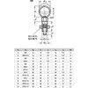 Ganter Normelemente GN 717-8-M12-AK-ST Locking Bolt, Silver, Pack of 2