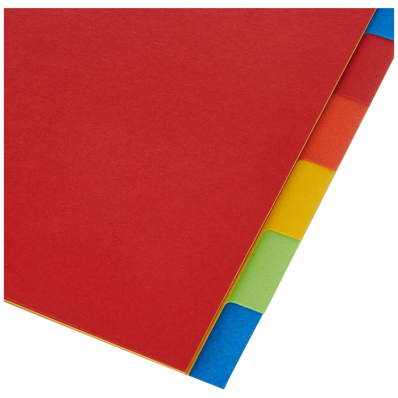 Herlitz A4 Manila Cardboard Index 10 Sheets 5 Assorted Intensive