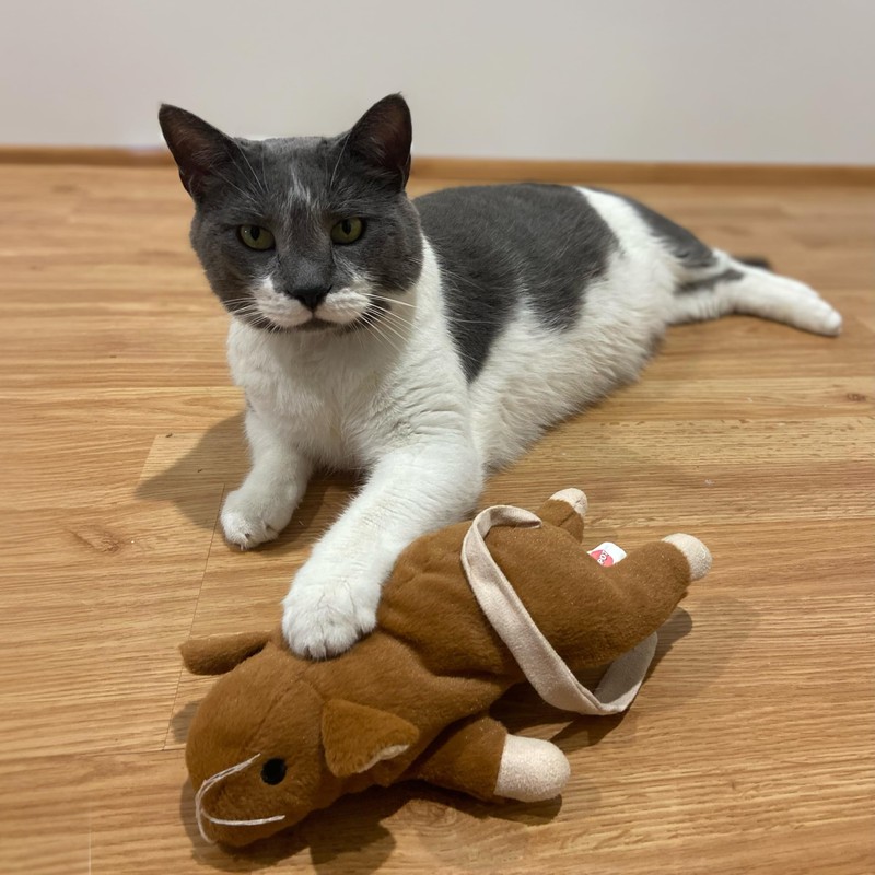 SPOT Super Mouse Sam with Catnip - Lifelike Cat Toy,