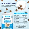 Vetnique Glandex Anal Gland Soft Chew Treats with Pumpkin for