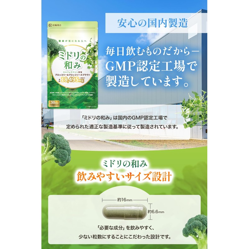 【医師・管理栄養士W監修】 スルフォラファン サプリ ブロッコリー&ブロッコリースプラウト 18495mg/袋 約30日分 4粒615mg 120粒 モリンガ 桑の葉