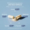 Zesty Nutrition Magnesio Complex Magnesios Citrato Bisglicinato Gluconato Taurato Treonato