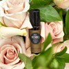 Aceite esencial 100% puro grado Terapéutico de pachuli, 10 ml