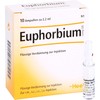Euphorbium Composite SN Ampoules Pack of 10