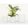 Scheurich Solido Linea, Set of 2 Ceramic Flower Pots, Colour: