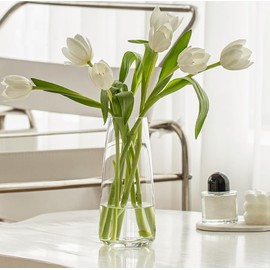 FANTESTICRYAN Modern Glass Vase Irised Crystal Clear Glass Vase for Home Office Decor (Crystal Clear)