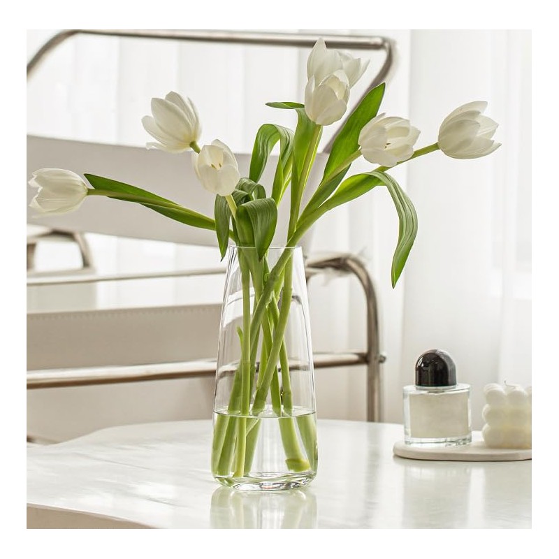 FANTESTICRYAN Modern Glass Vase Irised Crystal Clear Glass Vase for