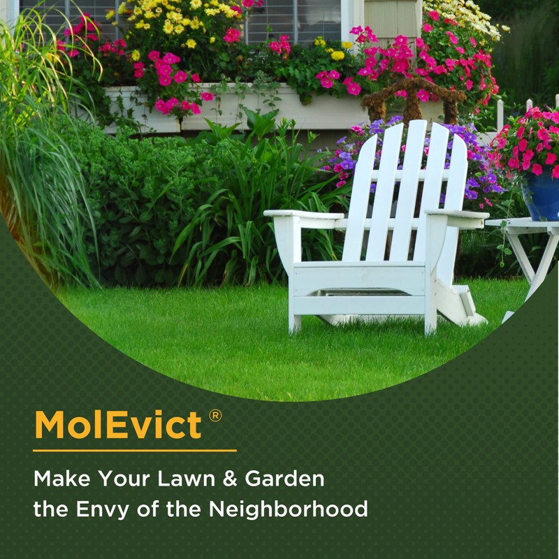Baar Products - MolEvict Lawn Mole Castor Oil - Lawn
