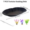 Apatal Reptile Bathing Pool 2-in-1 Tortoise Water Dish with Ramp