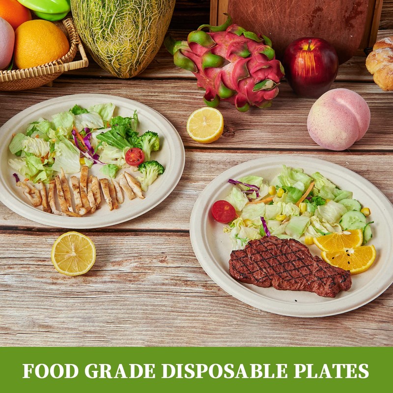 ECOLipak 100% Compostable 10 Inch Paper Plates, 125 Pack Heavy