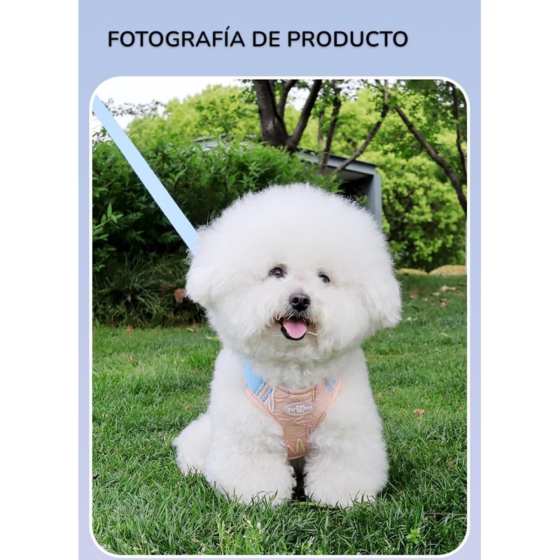 Pechera Arnés para Perros pequeños, Arnés para Perro Ajustable Reflectante